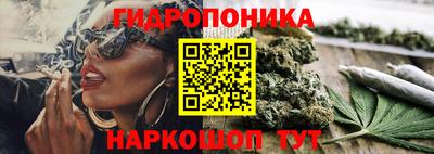 СК Будённовск