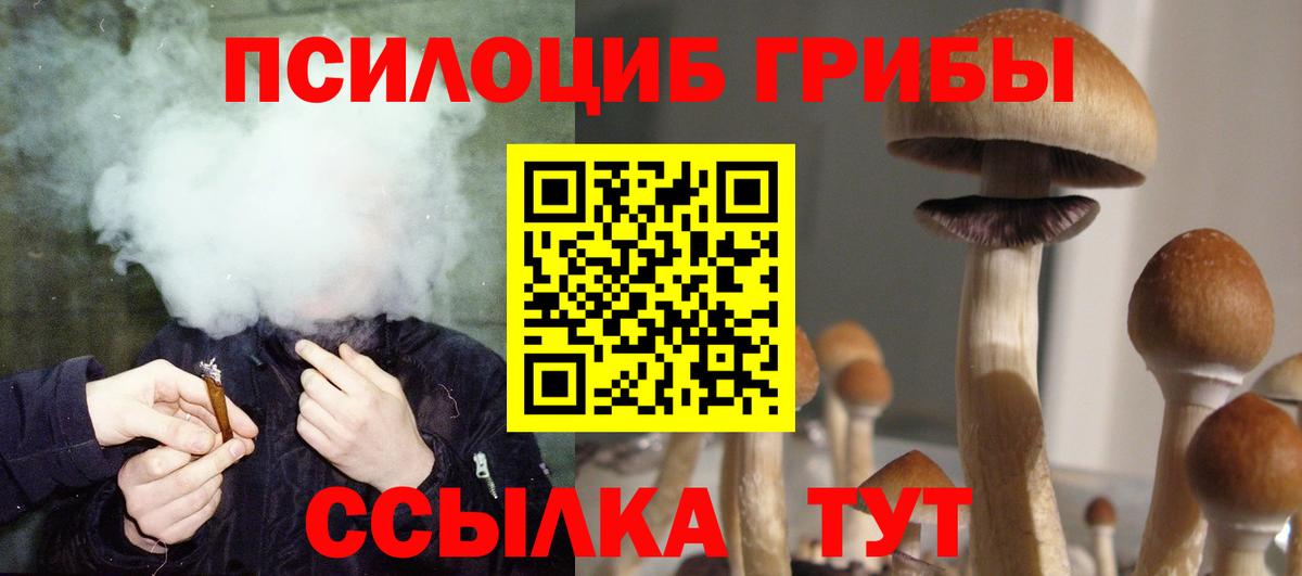 Псилоцибиновые грибы Psilocybe  магазин продажи   Вход с VPN  Фурманов  Галлюциногенные грибы Cubensis 